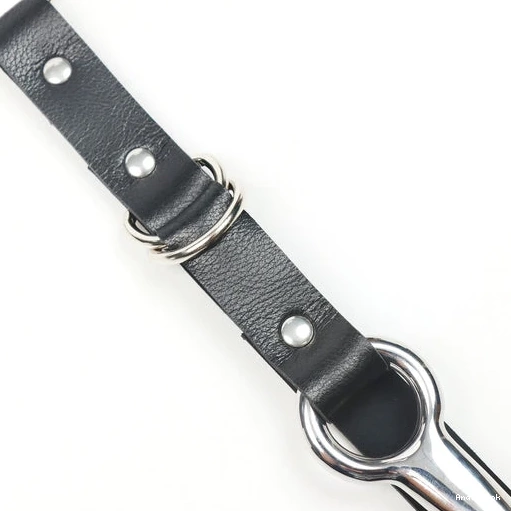 Leash Anal 5853 Hook Collar EverydayUse with and Kinky 0617